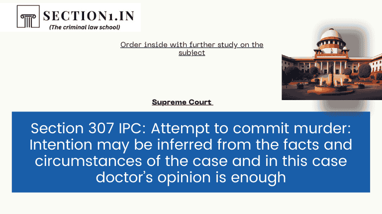 section 307 ipc
