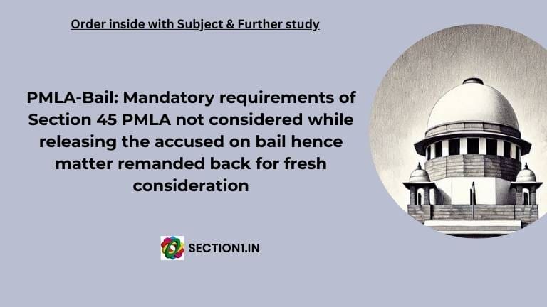 pmla bail